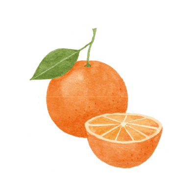 オレンジ果皮