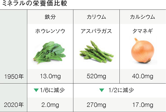 ミネラル・食物繊維の栄養価比較